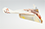 Plane made of money